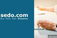 101domain Ascends to Platinum Level with Sedo