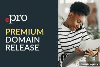 Get Ready: .PRO Premium Domain Launch