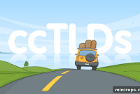 ccTLDs Revolutionize Global SEO for Worldwide Companies