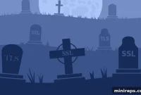 Zombie Subdomains: The Haunting Afterlife of SSL/TLS Certificates