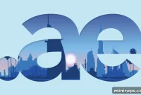 Strategic .ae: The Global Brand Advantage