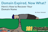 Expired Domain? Your Blueprint for Seamless Recovery