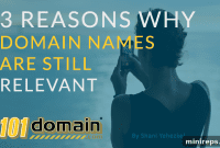 Domain Names Still Essential in the Digital Age