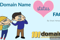 Domain Name Status Demystified