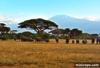 Abdalla Omari Unveils the Future of Kenya’s .KE Domain in Exclusive Interview