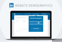 LinkedIn Audience Insights Coming Soon