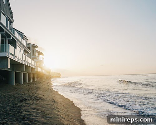 .HOMES Domains Just Got More Affordable 4 A comparison of diverse domain names, highlighting the uniqueness of .homes.