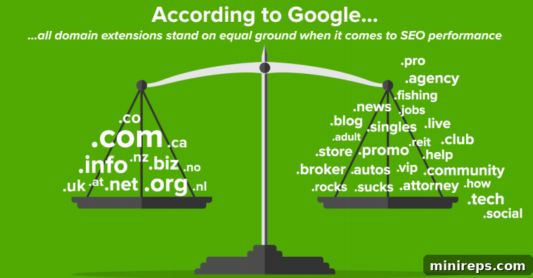 Beyond .Com Is Investing in New Domain Extensions Smart 5 Infographic showing new domain extensions 2017 SEO case study results
