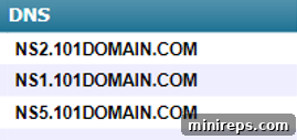 Decoding Technology: A Professional's Non-Technical Primer 6 Example of 101domain nameservers