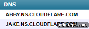 Decoding Technology: A Professional's Non-Technical Primer 9 Example of Cloudflare nameservers, indicating less redundancy