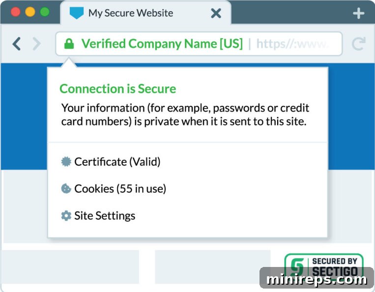 browser showing secure ssl connection