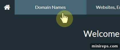 Screenshot of 101domain account dashboard with 'Domain Names' tab highlighted.