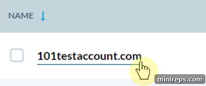 Screenshot showing a specific domain name selected within the 101domain account interface.
