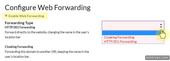 Screenshot of web forwarding configuration settings, showing 'Enable Web Forwarding' and dropdown to select forwarding type.