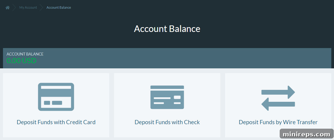 Screenshot showing an account balance being applied to an invoice