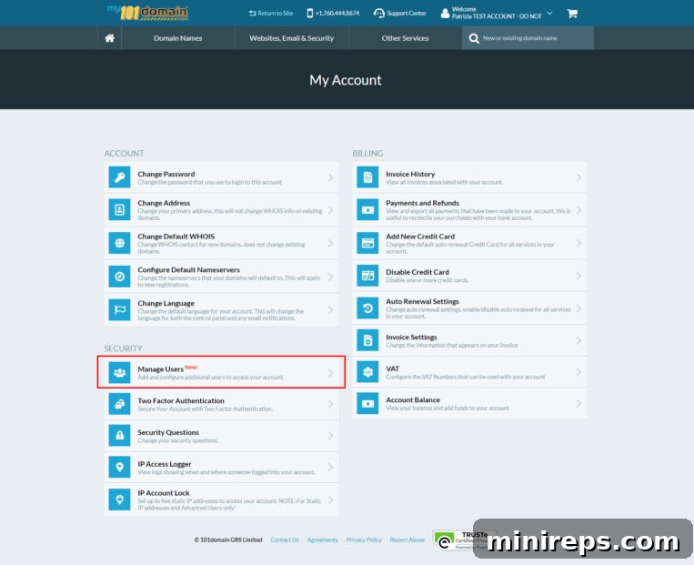 An interface showing multi-user account setup for controlled access to domain management.