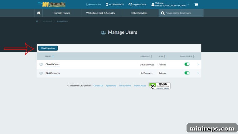 Diagram illustrating various user roles and their corresponding permissions within a domain account.