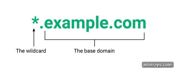 Wildcard Example