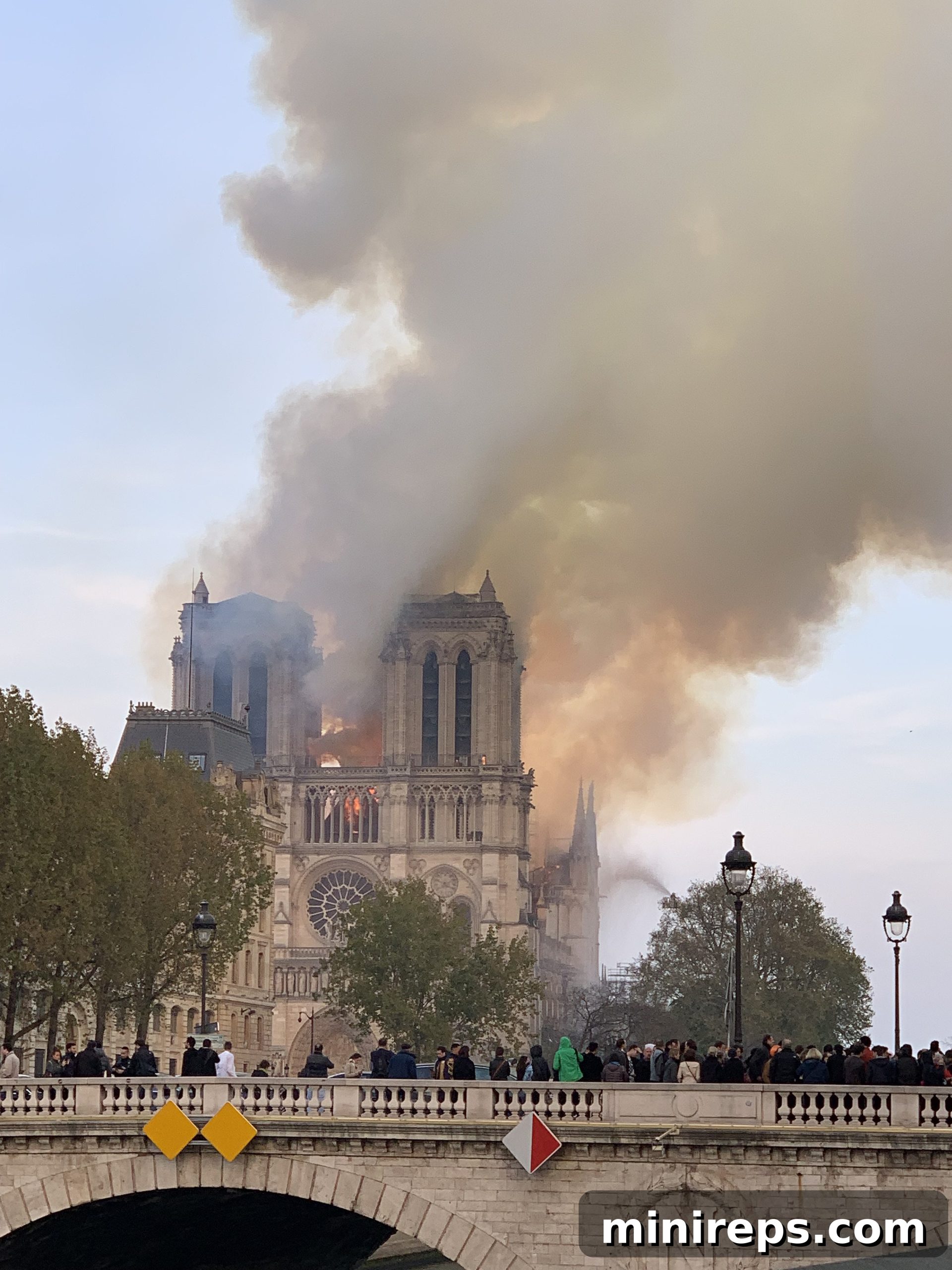 Notre-Dame de Paris Burning