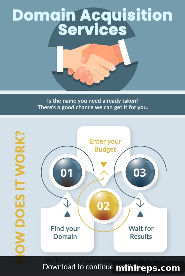 reverse domain name hijacking infographic