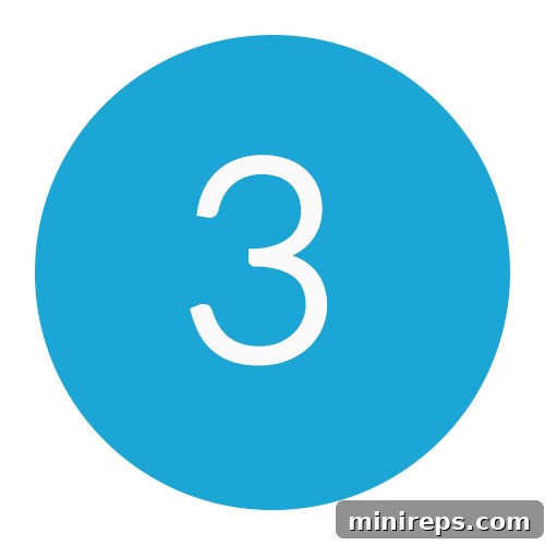 Number 3 - UDRP Element