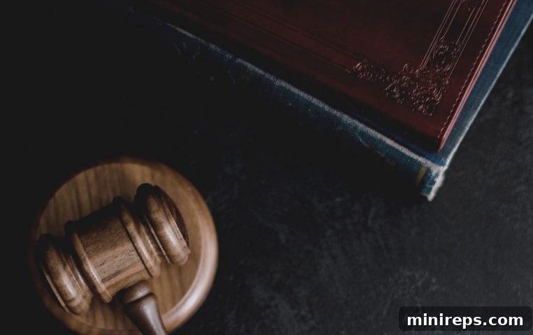 Elevate Your Practice: 5 Benefits of the .LAW Domain 2 A legal professional reviewing documents on a laptop, symbolizing the digital nature of modern legal services.