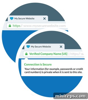 The Importance of HTTPS for Website Security and SEO HTTPS SSL security in web browsers