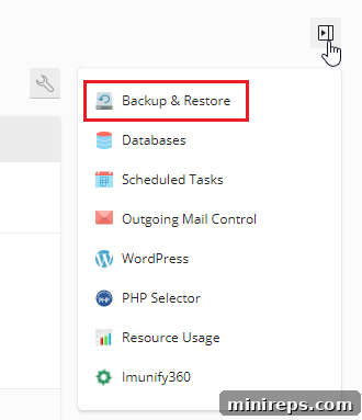 Plesk screenshot showing the Backup & Restore option