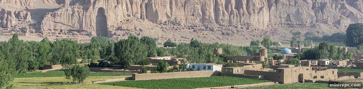 af Afghanistan (.AF) Domain Registration Status and Challenges