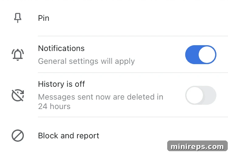 Chat-History Chat history