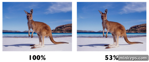 A visual representation of Cloudflare's Polish image optimization feature, showing before and after compression.