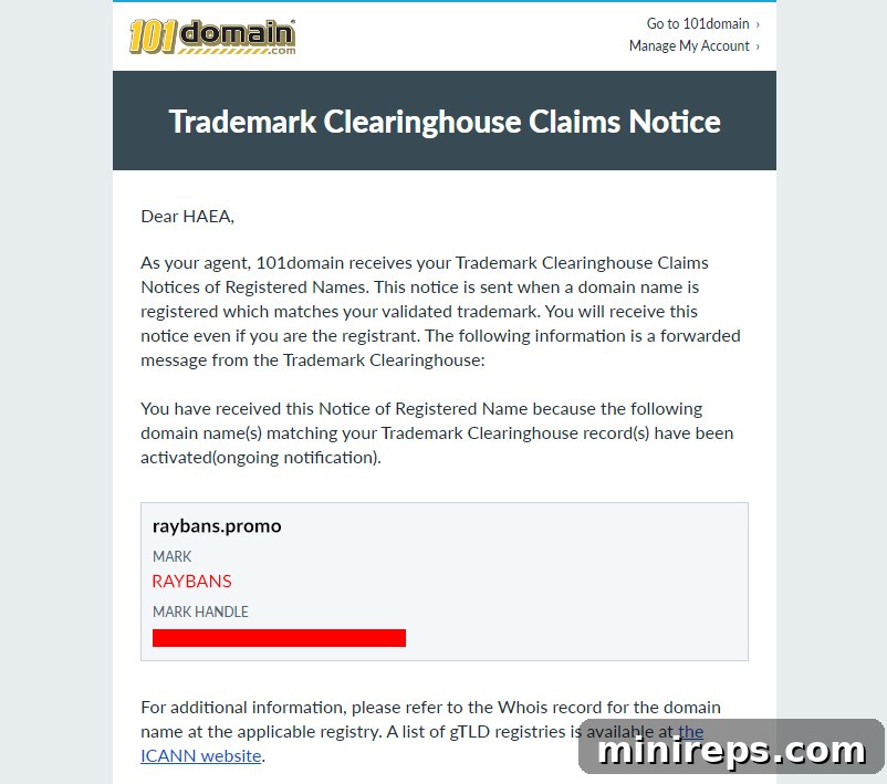 Email notification for trademark infringement via TMCH