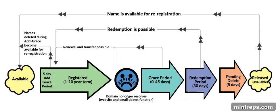 Visual representation of the domain lifecycle from active to redemption and eventual drop.