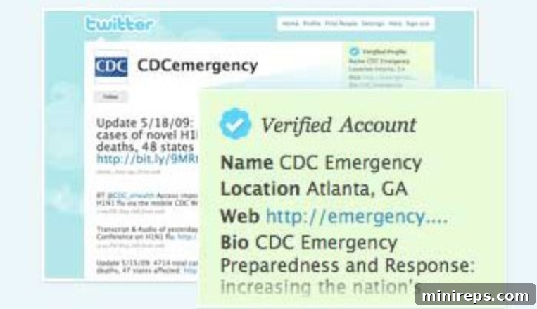 Not Playing Ball, early Twitter verification announcement