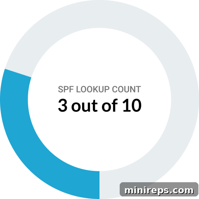 Mastering Your SPF Report: An Easy-to-Understand Guide 3 SPF Lookup Count