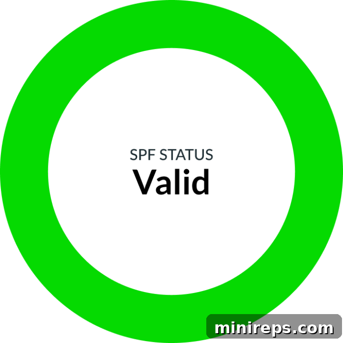 Mastering Your SPF Report: An Easy-to-Understand Guide 4 SPF Status Valid