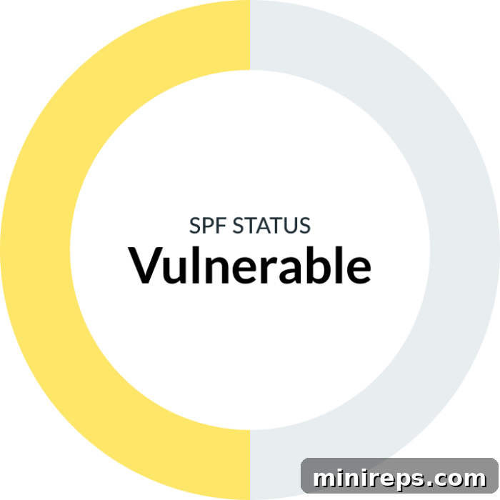 Mastering Your SPF Report: An Easy-to-Understand Guide 6 SPF Status Vulnerable