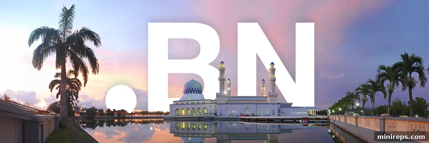 101domain Now Offers .BN Domain!