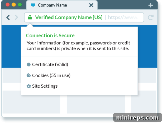 SSL browser window example showing a secure connection