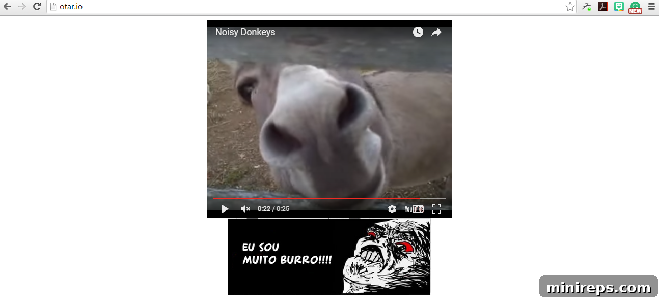 otar.io donkeys
