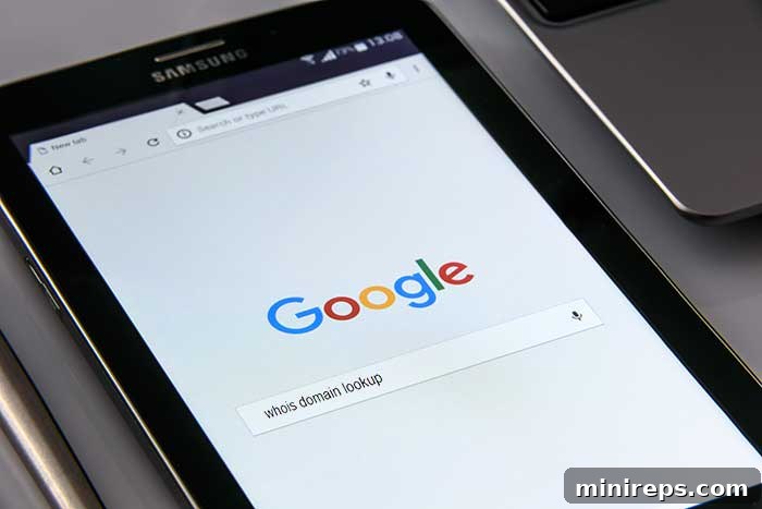 The Essential Role of WHOIS Privacy Protecting Your Online Information 2 whois-domain-lookup