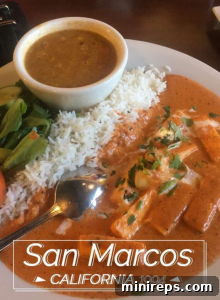 A delicious plate of Indian food, representing a pleasant social gathering.