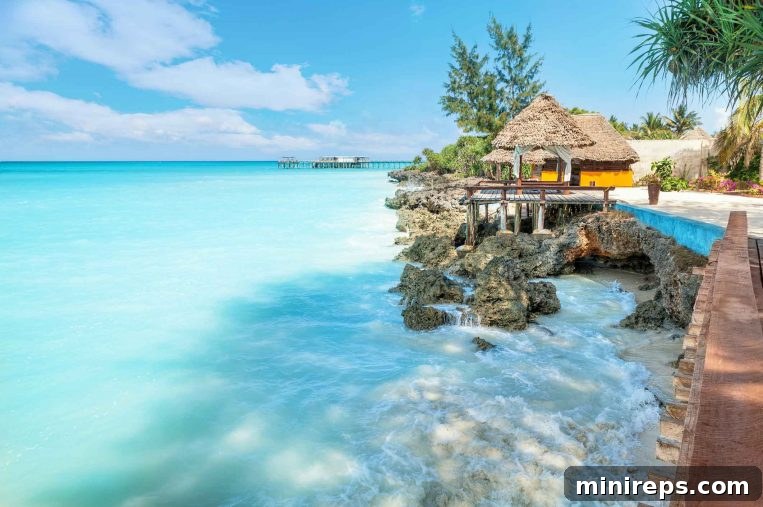 Zanzibar's pristine beaches, a testament to Tanzania's natural beauty and tourism potential.