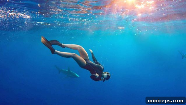 The Design Trap: What Really Stops You From Starting 4 Kelly diving with sharks - underwater photography