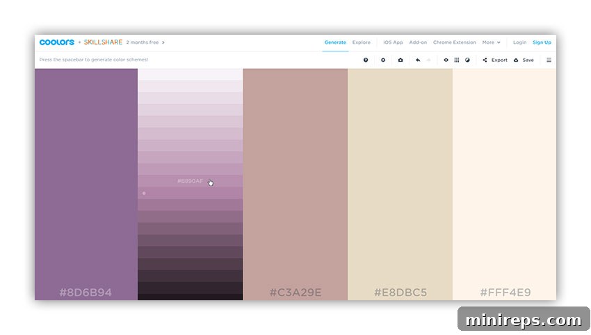 Coolors web tools for color palette generation in web design and branding