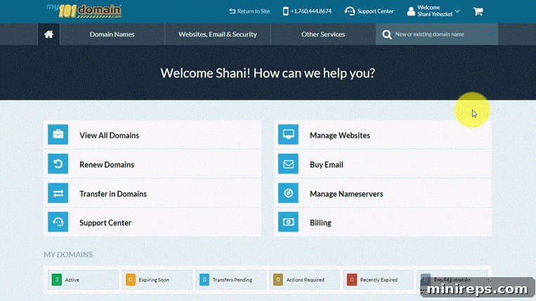 Rescue Your Domain Name From Redemption 3 how to enable auto-renew in your 101domain account