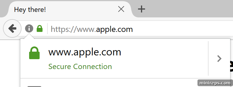 Domain Spoofing: The Deceptive Threat You Need to Know 3 domain spoofing example
