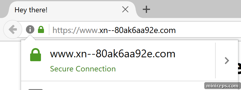 Domain Spoofing: The Deceptive Threat You Need to Know 4 domain spoofing puny code explanation