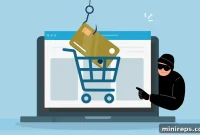 Magecart: The Genesis and Growth of E-commerce Skimming