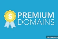 Premium Domains: Decoding the High Cost and True Value of Digital Real Estate